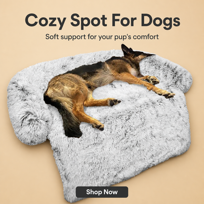 Calming Dog Bed