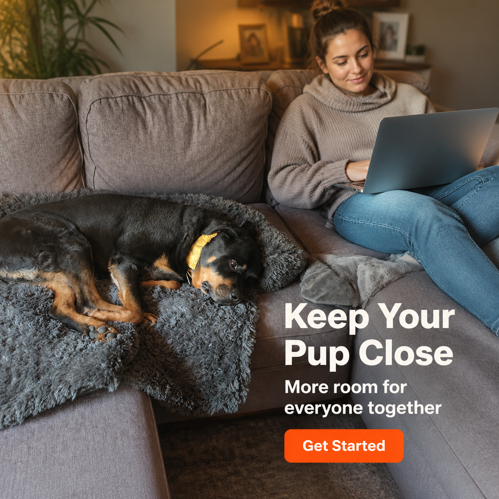 Calming Dog Bed